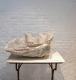 ANTIQUE CLAM SHELL