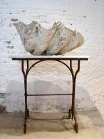 ANTIQUE CLAM SHELL