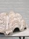 ANTIQUE CLAM SHELL